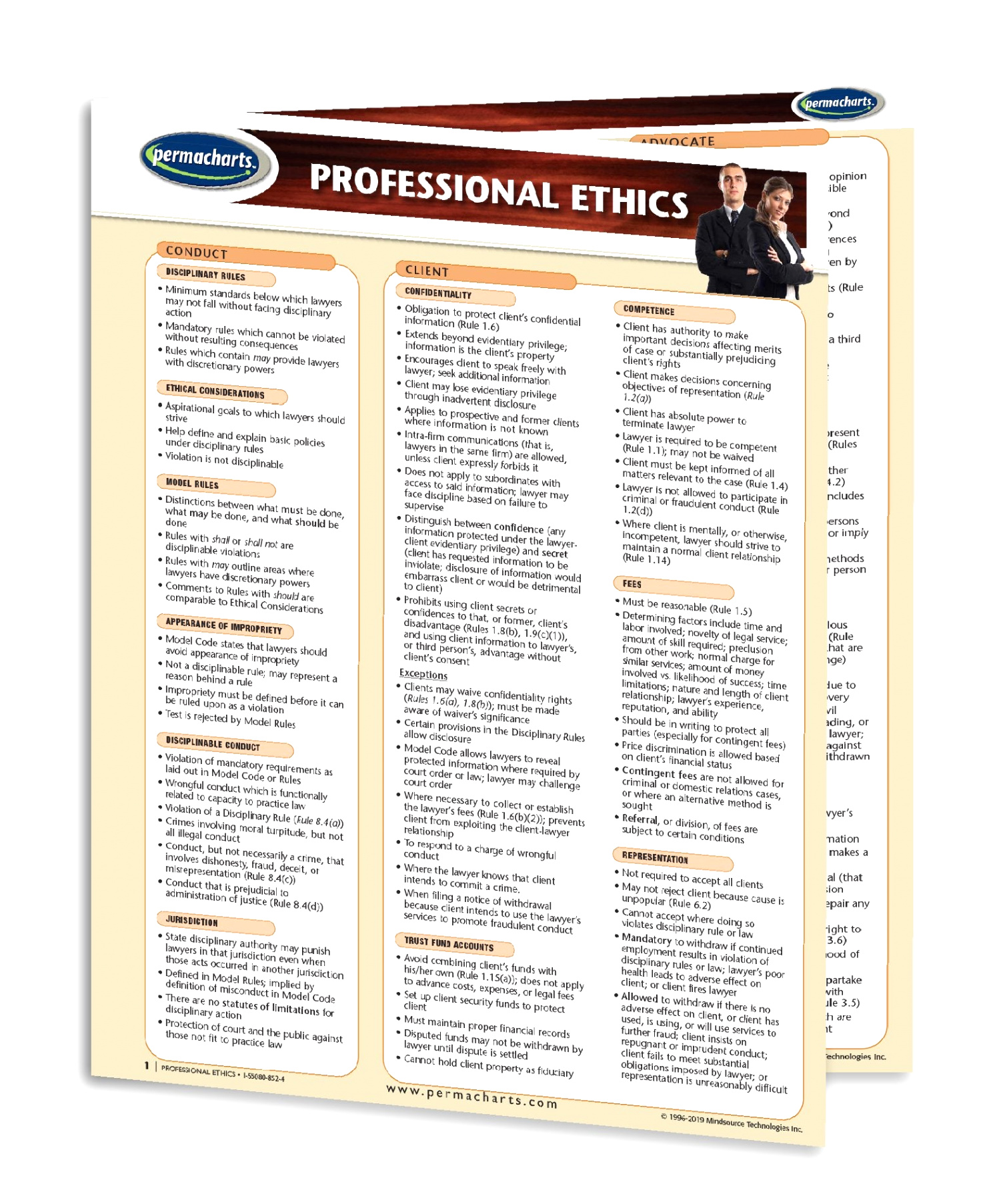 Professional Ethics for Lawyers Dans Professional Ethics Guide - Business Quick Reference Guide
