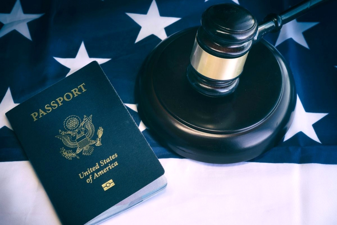 what do immigration lawyers do