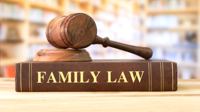 divorce and family lawyer long island