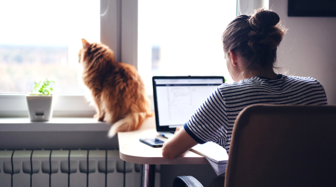 lawyers put in 20 extra work days when working from home