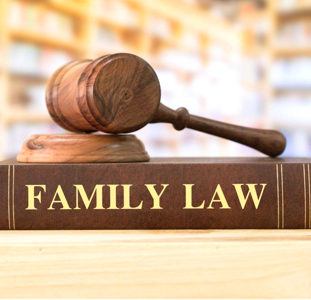 virtual cle the need for pro bono family law