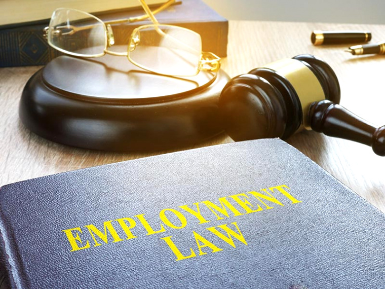 labor law vs employment law