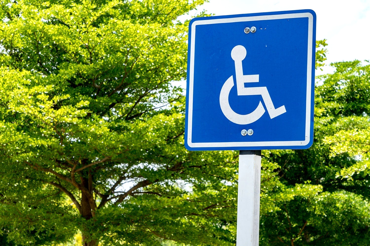 where can i find the best disability lawyers